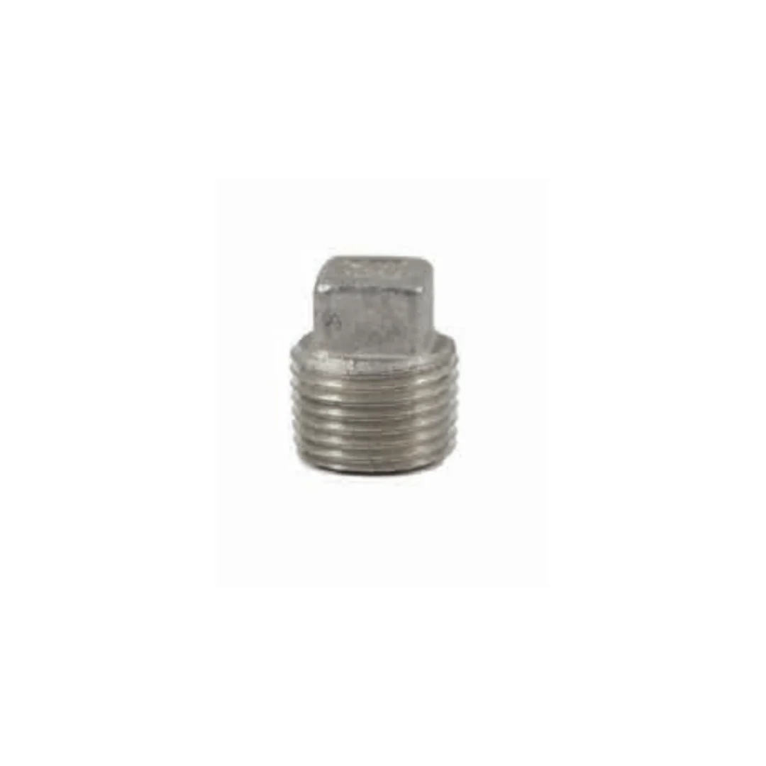 1-1/4 SS PLUG (316)