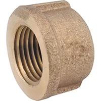 1/2 in IPT Red Brass Pipe Cap