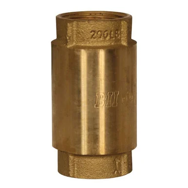 1 Inch Brass Check Valve