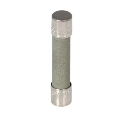 10 Amp Time Delay 250V Fuse - 1.25 Inch