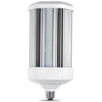 10000 Lumen 5000K LED Yard Light Bulb E26/E39 Base 120V Non-Dim
