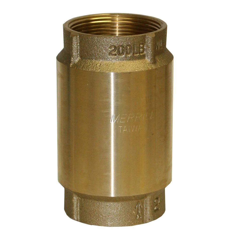 2 IN BRASS SPRING CHECK VALVE IP