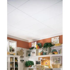 #280 Plain White 2 ft. x 4 ft. Ceiling Tile