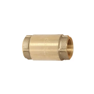 3/4 Inch Brass Check Valve