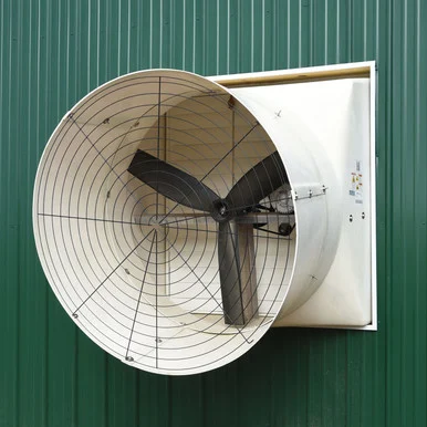 APPerformer 50 in Belt Drive Shutter Fan With Cone