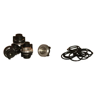 Aqua BlastValve Assembly Kit for P317 Pump
