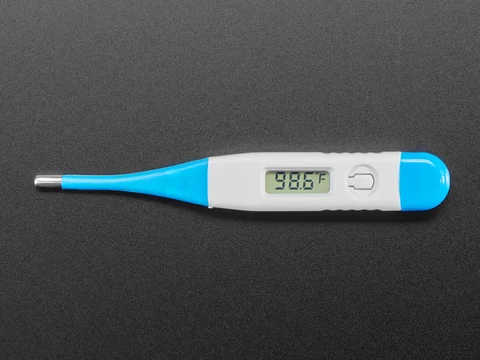 Basic Digital Body Thermometer in Fahrenheit