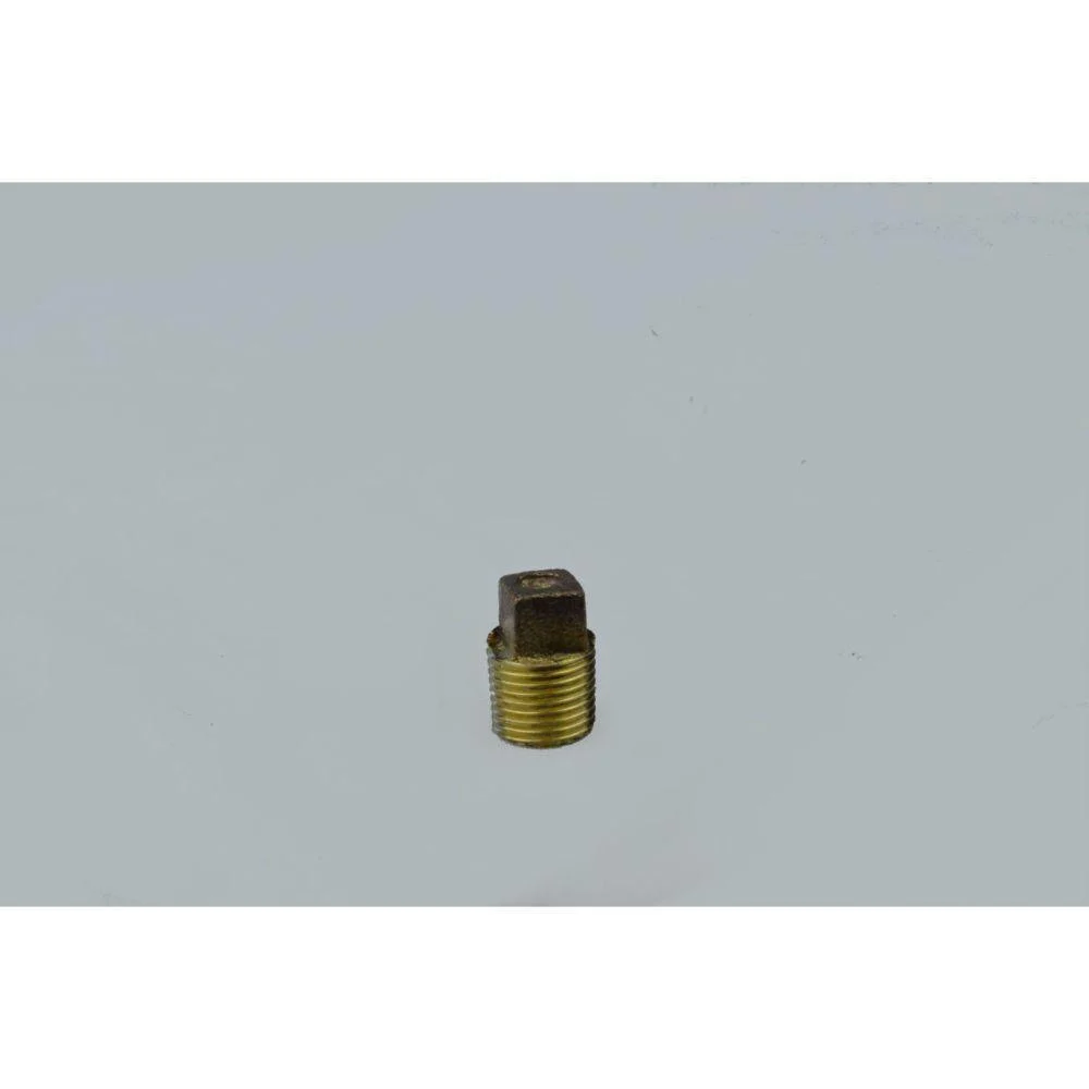 BRPL0200-NL Everflow 2" Mip Square Head Plug-Cast