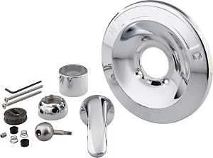 Chrome Tub and Shower Renovation Kit