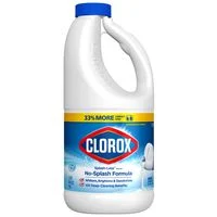 Concentrated Regular Liquid Bleach, 40 oz