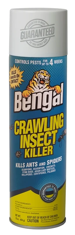 Crawling Insect Killer Spray, 16 oz Aerosol Can