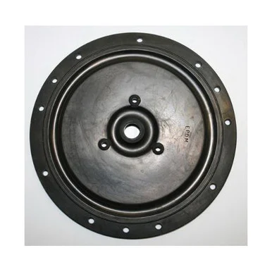 Diaphragm for Pressure Reducer Regulator