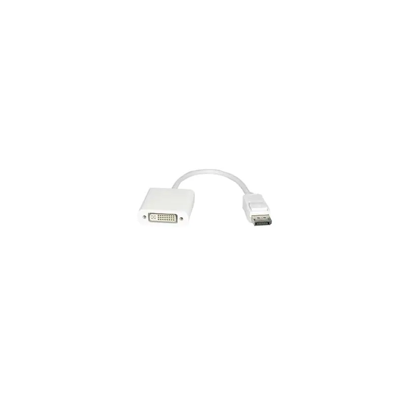 Display Port Male to DVI Female Adapter Cable