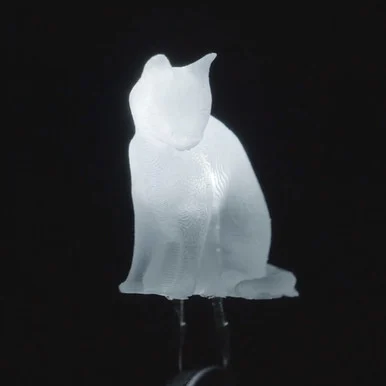 dLUX-dLITE Cool White Kitty Shape LEDs 5 Pack
