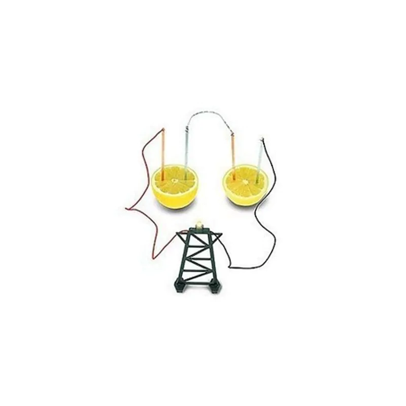 Enviro Lemon Battery Kit with 4 Copper Rods, 4 Zinc Rods, Accessories, and Wiring