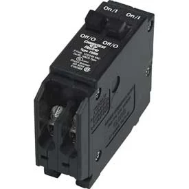 ICBQ1515 15 Amp Twin Single-Pole Interchangeable Circuit Breaker
