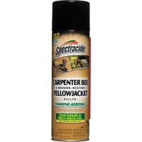 Killer Foam Carpenter Bee & Yellow Jacket Foaming Spray, 16 oz