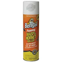 Killer Foam Wasp & Hornet Spray, 18 oz, 25 ft Reach