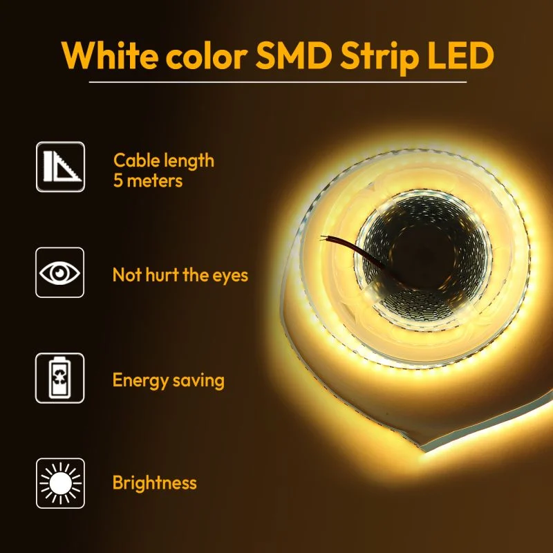 12V 2835 Warm White Color SMD Strip LED with 12V DC Adapter Plug