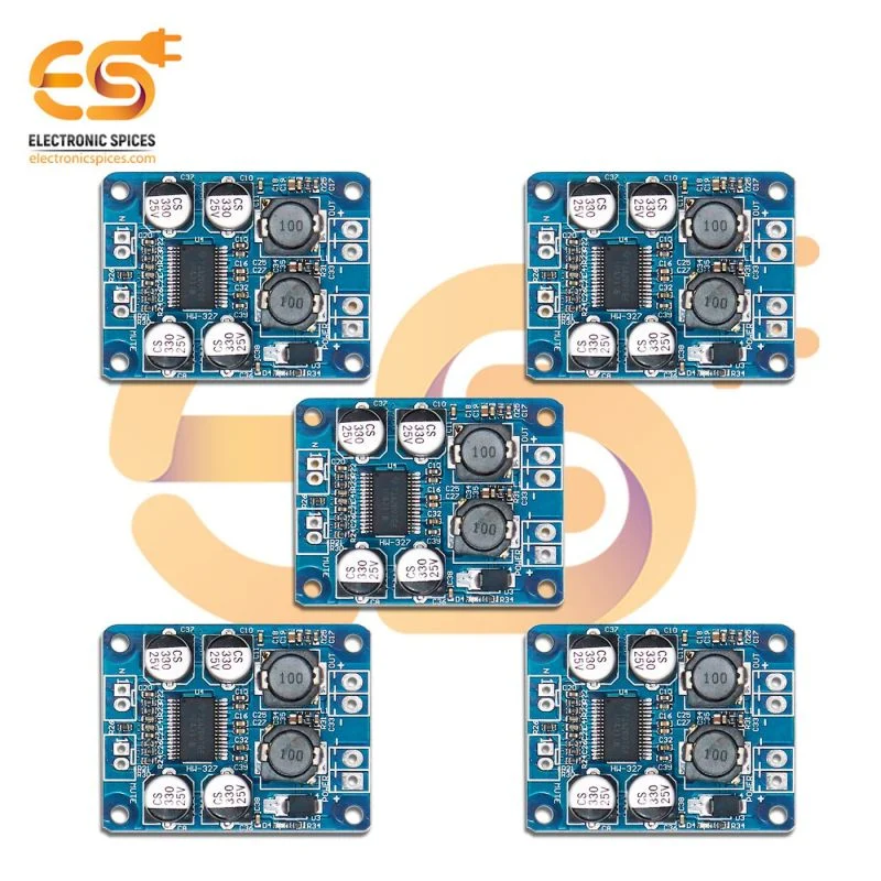 TPA311860W Mono (single) channel digital power amplifier modules pack of 10pcs