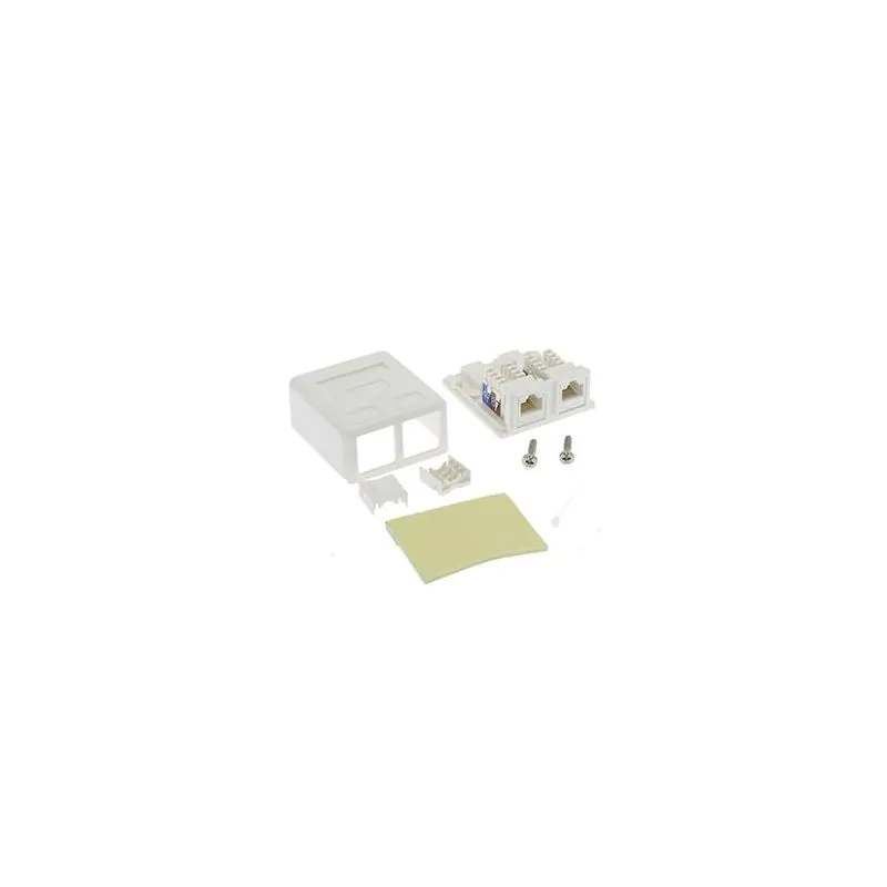 2 PORT CAT5e SURFACE JACK