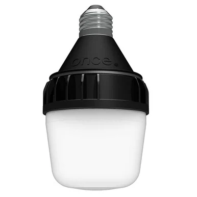 ONCEMLM Dimmable 10 W LED Lighting Fixture With Edison Base Adapter