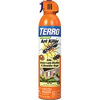 Outdoor Ant Killer Aerosol Spray, 19 oz