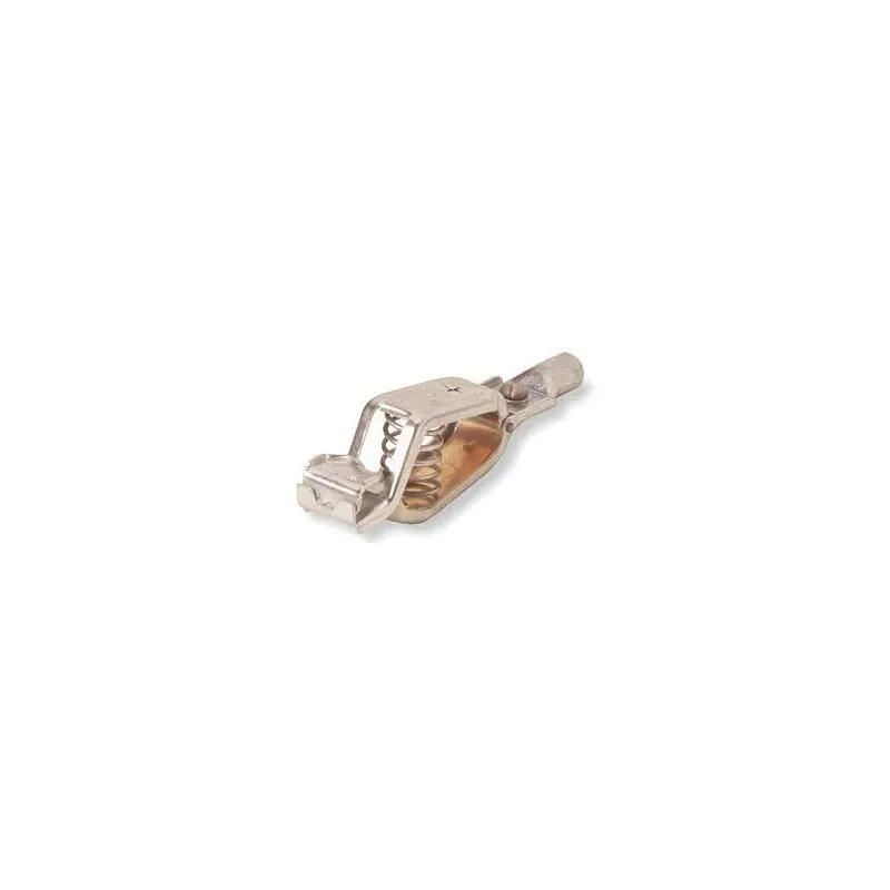 Plain Grounding Steel Clip - 100 Amp 11 CLIP 11A