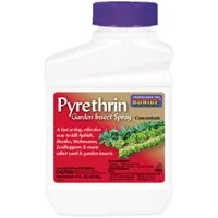 Pyrethrin Concentrate Garden Insect Spray, 1 Pint