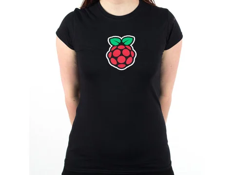 Raspberry Pi Logo T-Shirt - Womens Small