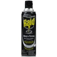 Wasp & Hornet Killer Spray, 14 oz, 22 ft Jet Spray