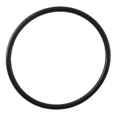 Watts Big Bubba O Ring for Filter