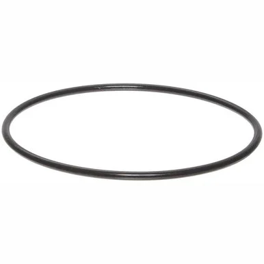 Watts Big Bubba O Ring for Lid